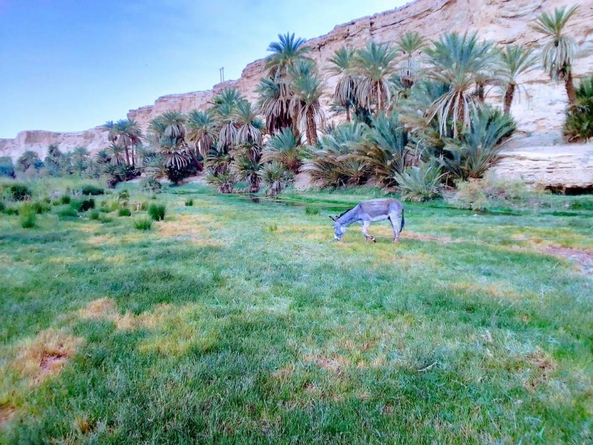 Amoudou Lodge Camp Tissint Bagian luar foto