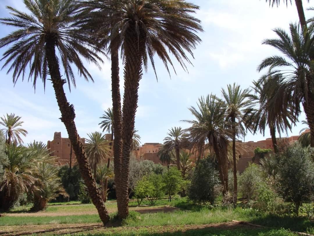 Amoudou Lodge Camp Tissint Bagian luar foto