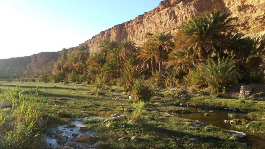 Amoudou Lodge Camp Tissint Bagian luar foto