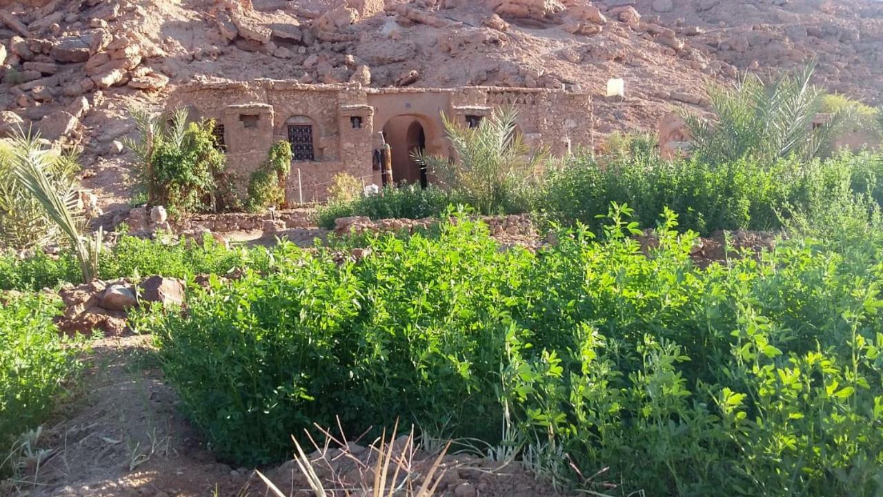 Amoudou Lodge Camp Tissint Bagian luar foto