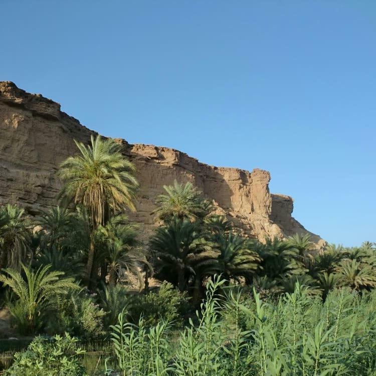 Amoudou Lodge Camp Tissint Bagian luar foto